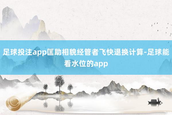 足球投注app匡助相貌经管者飞快退换计算-足球能看水位的app