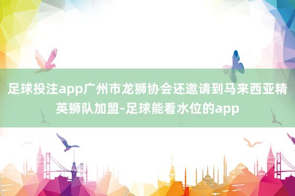 足球投注app广州市龙狮协会还邀请到马来西亚精英狮队加盟-足球能看水位的app