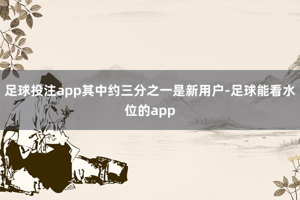 足球投注app其中约三分之一是新用户-足球能看水位的app