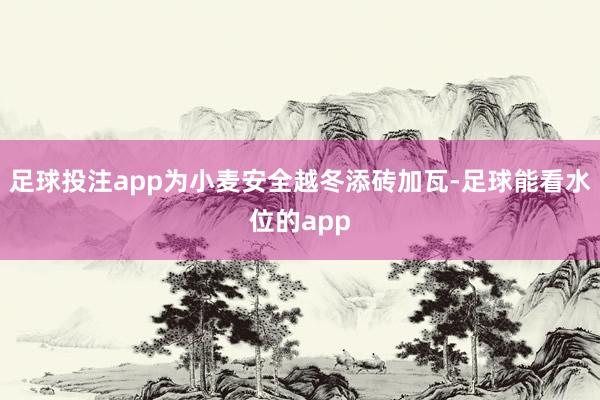 足球投注app为小麦安全越冬添砖加瓦-足球能看水位的app