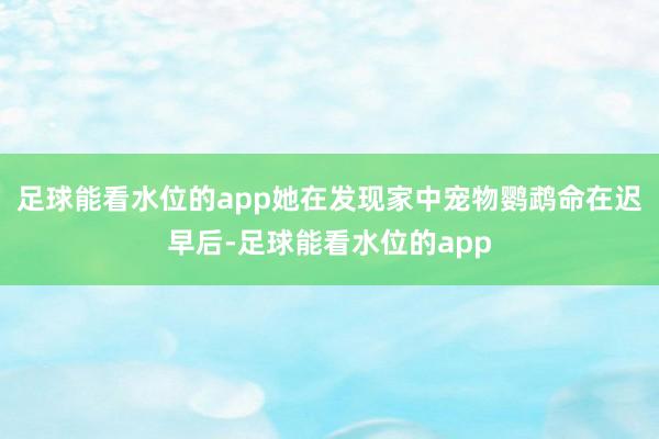 足球能看水位的app她在发现家中宠物鹦鹉命在迟早后-足球能看水位的app