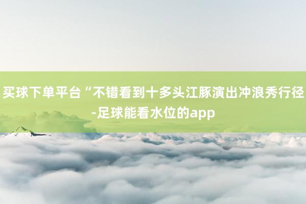 买球下单平台“不错看到十多头江豚演出冲浪秀行径-足球能看水位的app