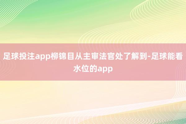 足球投注app柳锦目从主审法官处了解到-足球能看水位的app