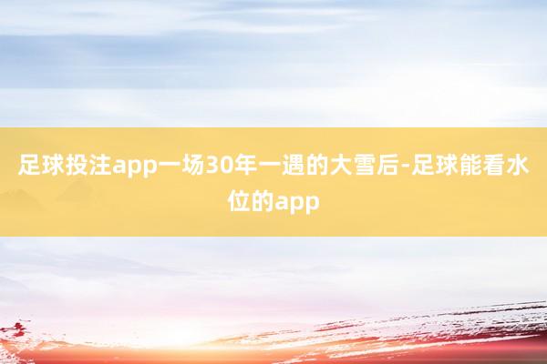 足球投注app一场30年一遇的大雪后-足球能看水位的app