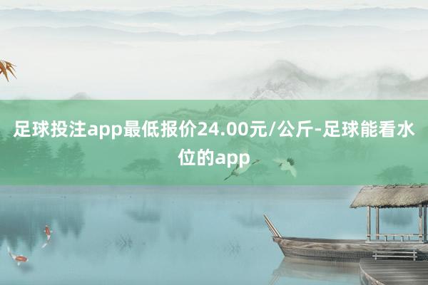 足球投注app最低报价24.00元/公斤-足球能看水位的app