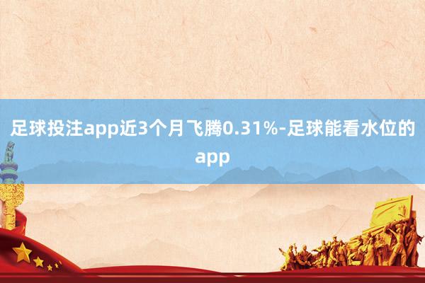 足球投注app近3个月飞腾0.31%-足球能看水位的app