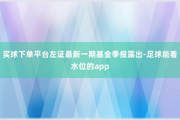 买球下单平台左证最新一期基金季报露出-足球能看水位的app