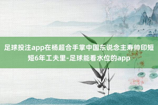 足球投注app在杨超合手掌中国东说念主寿帅印短短6年工夫里-足球能看水位的app