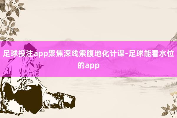 足球投注app聚焦深线索腹地化计谋-足球能看水位的app