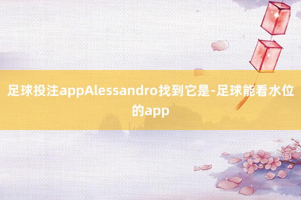 足球投注appAlessandro找到它是-足球能看水位的app