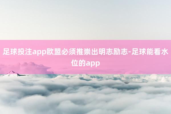 足球投注app欧盟必须推崇出明志励志-足球能看水位的app