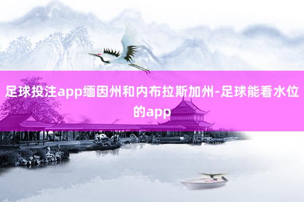 足球投注app缅因州和内布拉斯加州-足球能看水位的app