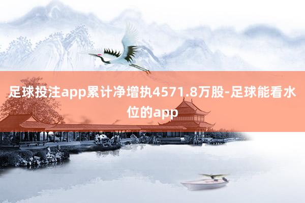 足球投注app累计净增执4571.8万股-足球能看水位的app