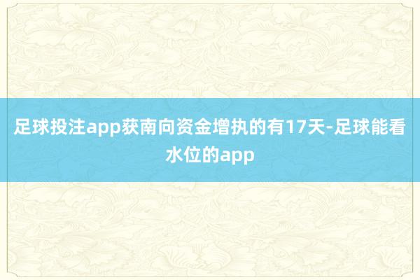 足球投注app获南向资金增执的有17天-足球能看水位的app