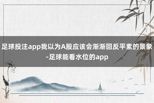 足球投注app我以为A股应该会渐渐回反平素的景象-足球能看水位的app