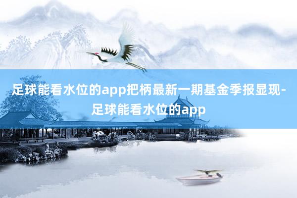 足球能看水位的app把柄最新一期基金季报显现-足球能看水位的app