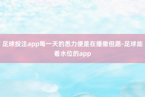 足球投注app每一天的悉力便是在播撒但愿-足球能看水位的app