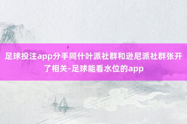 足球投注app分手同什叶派社群和逊尼派社群张开了相关-足球能看水位的app