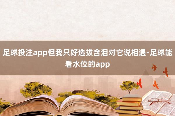足球投注app但我只好选拔含泪对它说相遇-足球能看水位的app