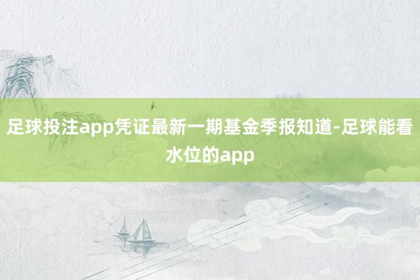足球投注app凭证最新一期基金季报知道-足球能看水位的app