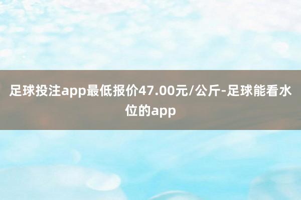 足球投注app最低报价47.00元/公斤-足球能看水位的app