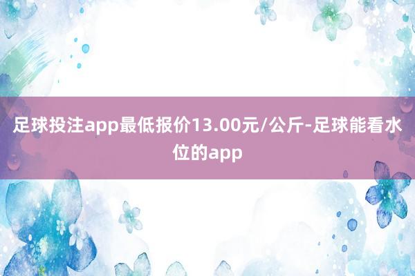 足球投注app最低报价13.00元/公斤-足球能看水位的app