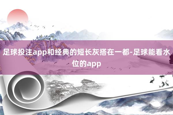 足球投注app和经典的短长灰搭在一都-足球能看水位的app