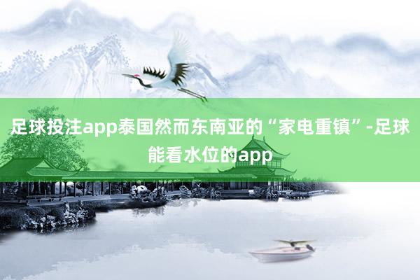 足球投注app泰国然而东南亚的“家电重镇”-足球能看水位的app