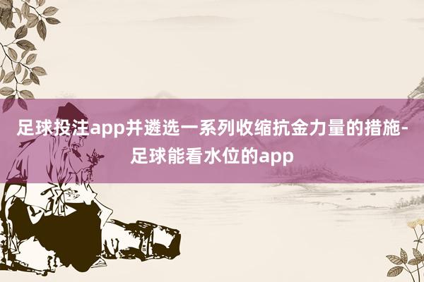足球投注app并遴选一系列收缩抗金力量的措施-足球能看水位的app