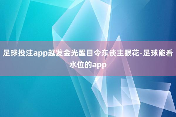 足球投注app越发金光醒目令东谈主眼花-足球能看水位的app