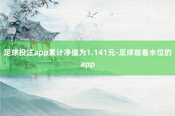 足球投注app累计净值为1.141元-足球能看水位的app