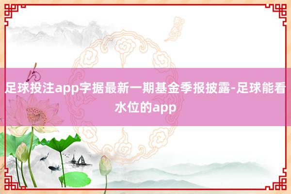 足球投注app字据最新一期基金季报披露-足球能看水位的app