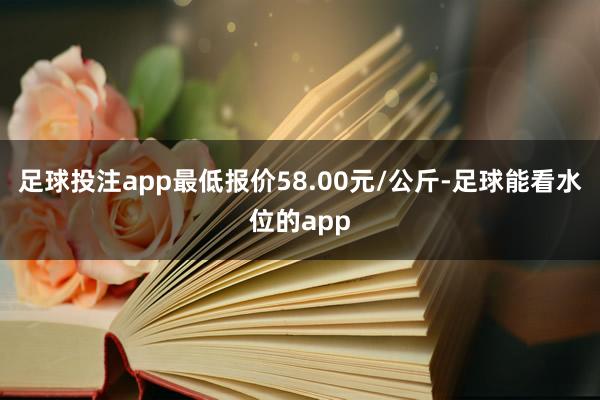 足球投注app最低报价58.00元/公斤-足球能看水位的app