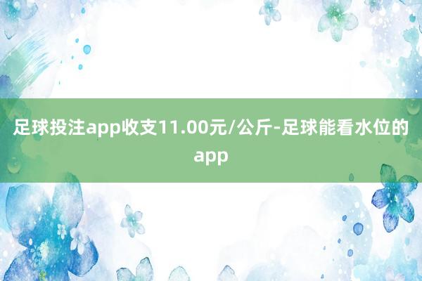 足球投注app收支11.00元/公斤-足球能看水位的app