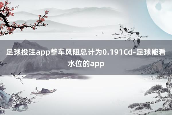 足球投注app整车风阻总计为0.191Cd-足球能看水位的app