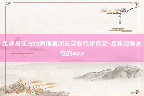 足球投注app海信集团总营收稳步普及-足球能看水位的app