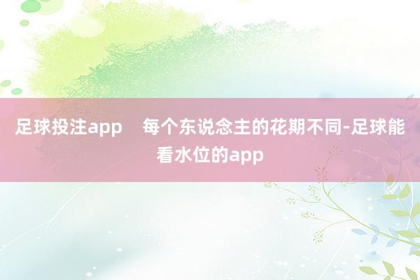 足球投注app    每个东说念主的花期不同-足球能看水位的app
