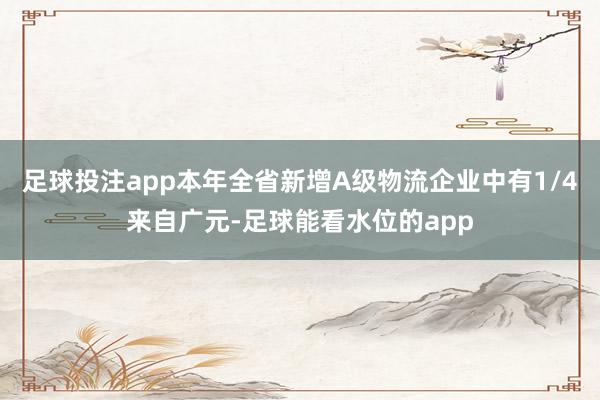 足球投注app本年全省新增A级物流企业中有1/4来自广元-足球能看水位的app
