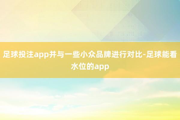 足球投注app并与一些小众品牌进行对比-足球能看水位的app