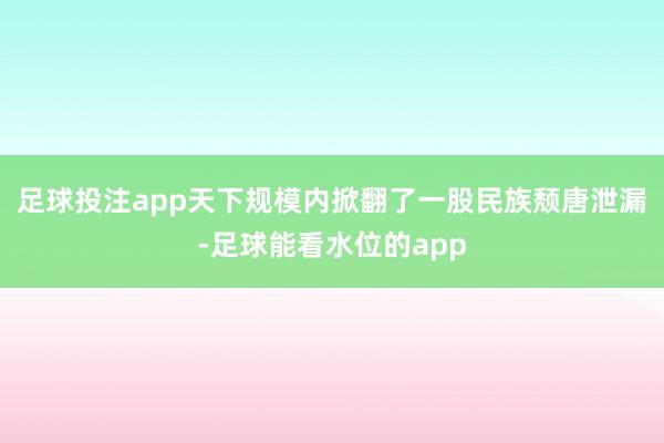 足球投注app天下规模内掀翻了一股民族颓唐泄漏-足球能看水位的app