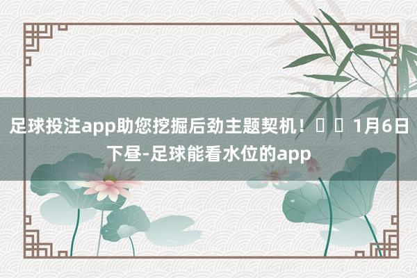 足球投注app助您挖掘后劲主题契机！		1月6日下昼-足球能看水位的app