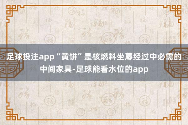 足球投注app“黄饼”是核燃料坐蓐经过中必需的中间家具-足球能看水位的app