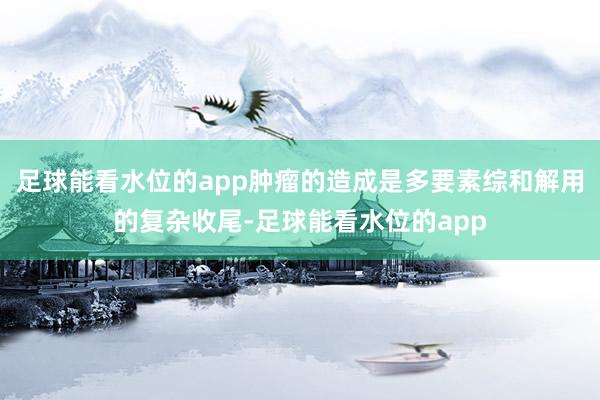 足球能看水位的app肿瘤的造成是多要素综和解用的复杂收尾-足球能看水位的app