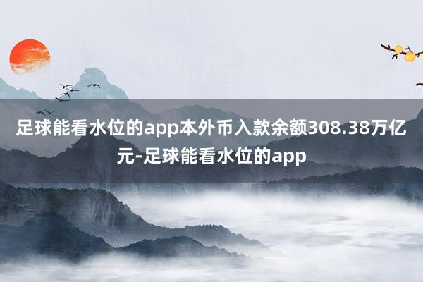 足球能看水位的app本外币入款余额308.38万亿元-足球能看水位的app