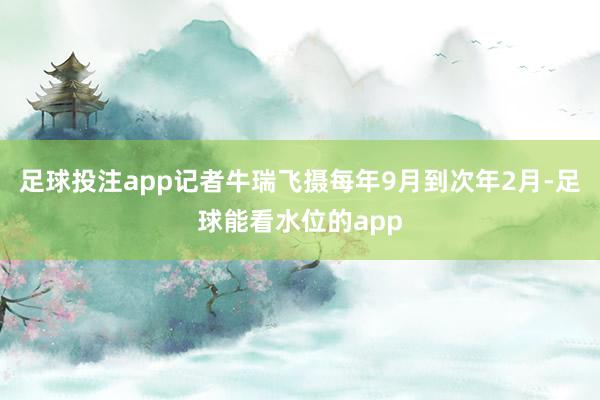 足球投注app记者牛瑞飞摄每年9月到次年2月-足球能看水位的app