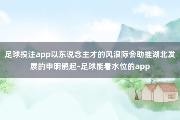 足球投注app以东说念主才的风浪际会助推湖北发展的申明鹊起-足球能看水位的app