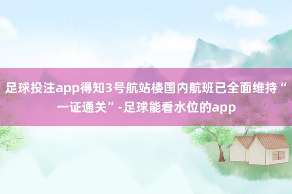 足球投注app得知3号航站楼国内航班已全面维持“一证通关”-足球能看水位的app