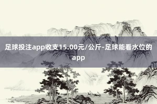 足球投注app收支15.00元/公斤-足球能看水位的app