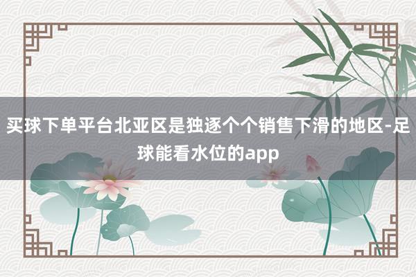买球下单平台北亚区是独逐个个销售下滑的地区-足球能看水位的app
