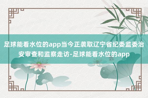 足球能看水位的app当今正袭取辽宁省纪委监委治安审查和监察走访-足球能看水位的app